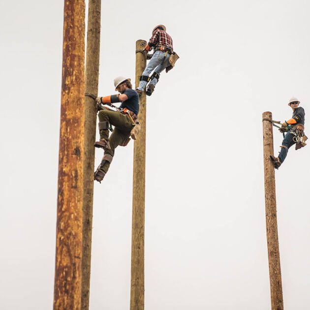 image of lineworkers