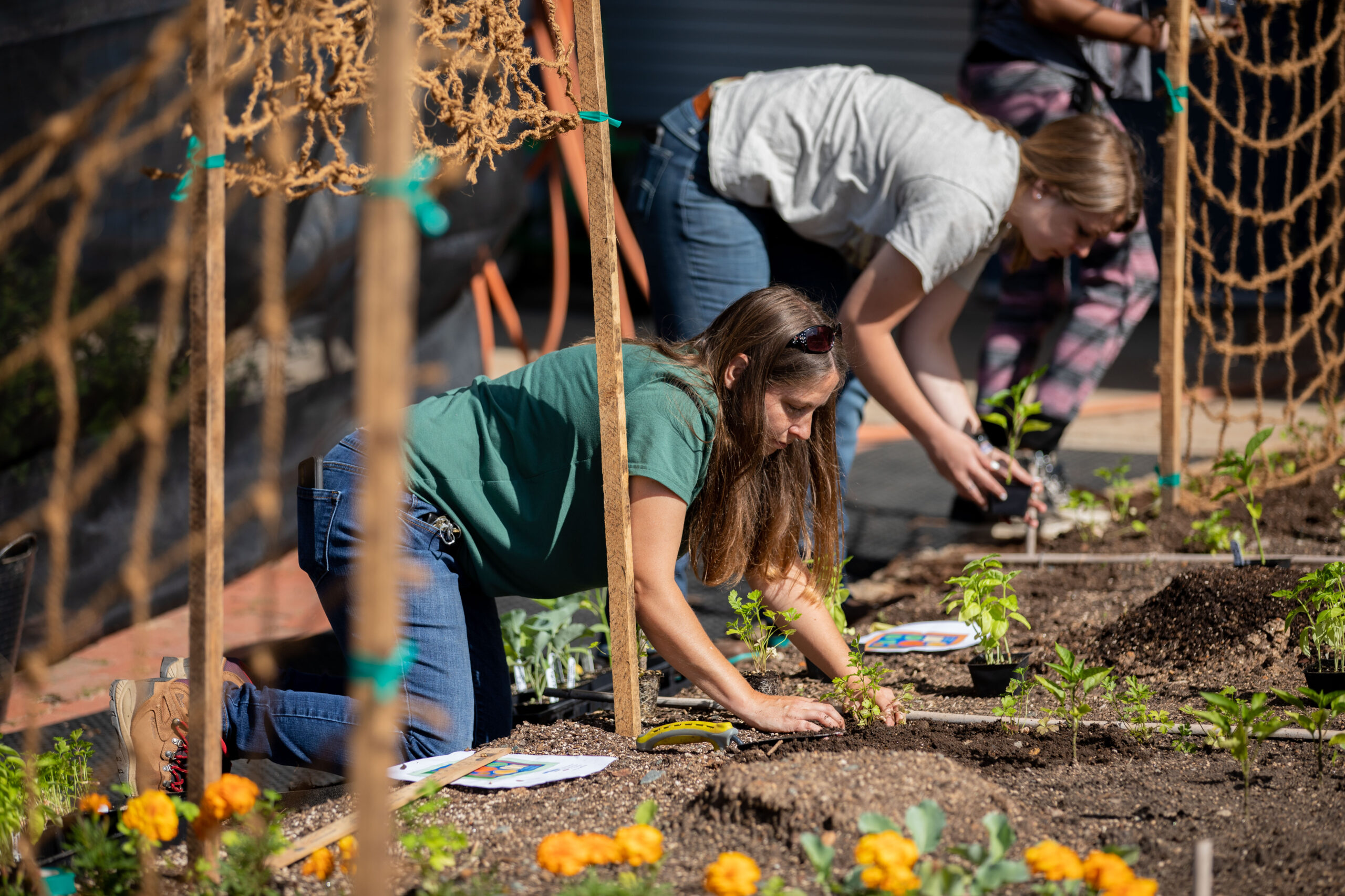 Horticulture Technology – Landscape Architecture