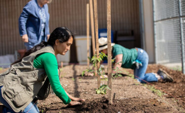 Horticulture Technology