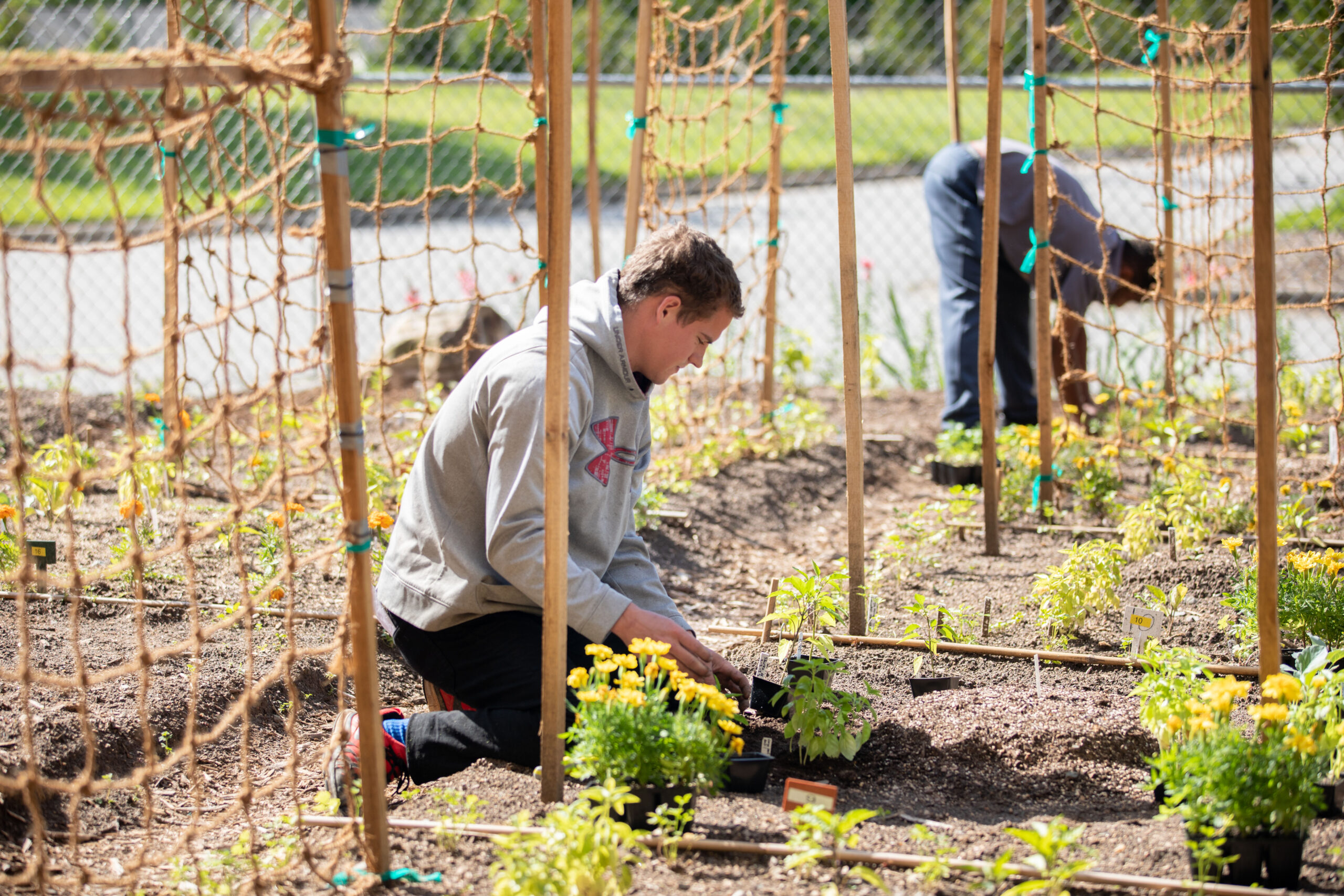 Horticulture Technology – Landscape Maintenance