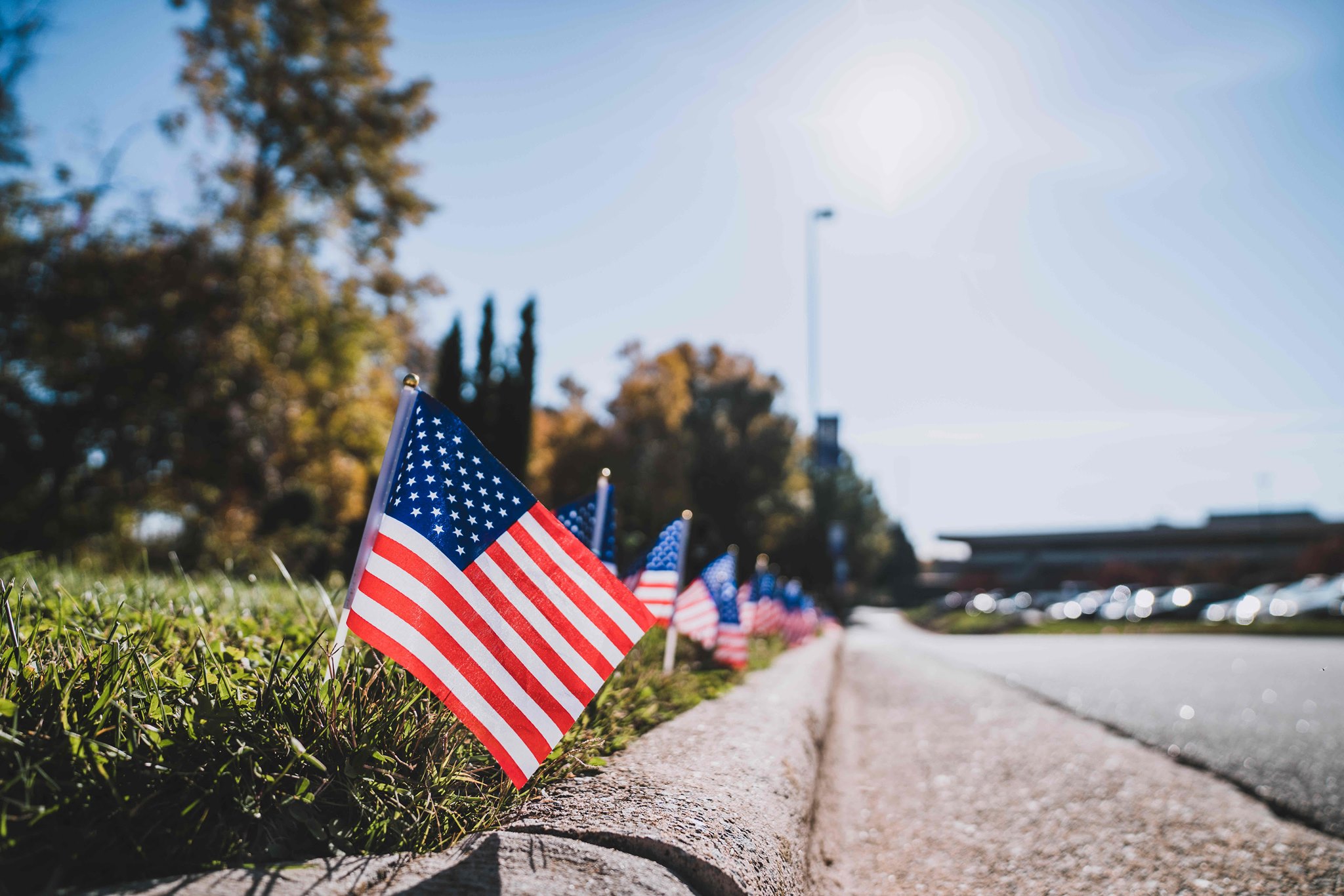 Image of American flags lining a sidewalk