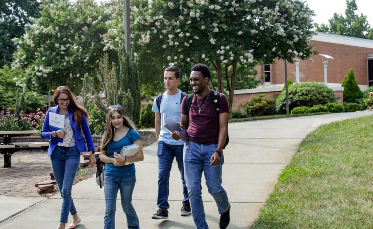 Find Your Bridge this Summer!